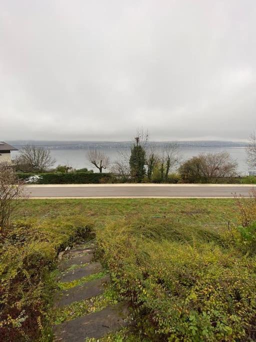 La Roseliere Sud, Vue Lac & Jardin Sevrier Exterior photo
