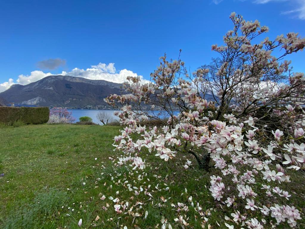 La Roseliere Sud, Vue Lac & Jardin Sevrier Exterior photo